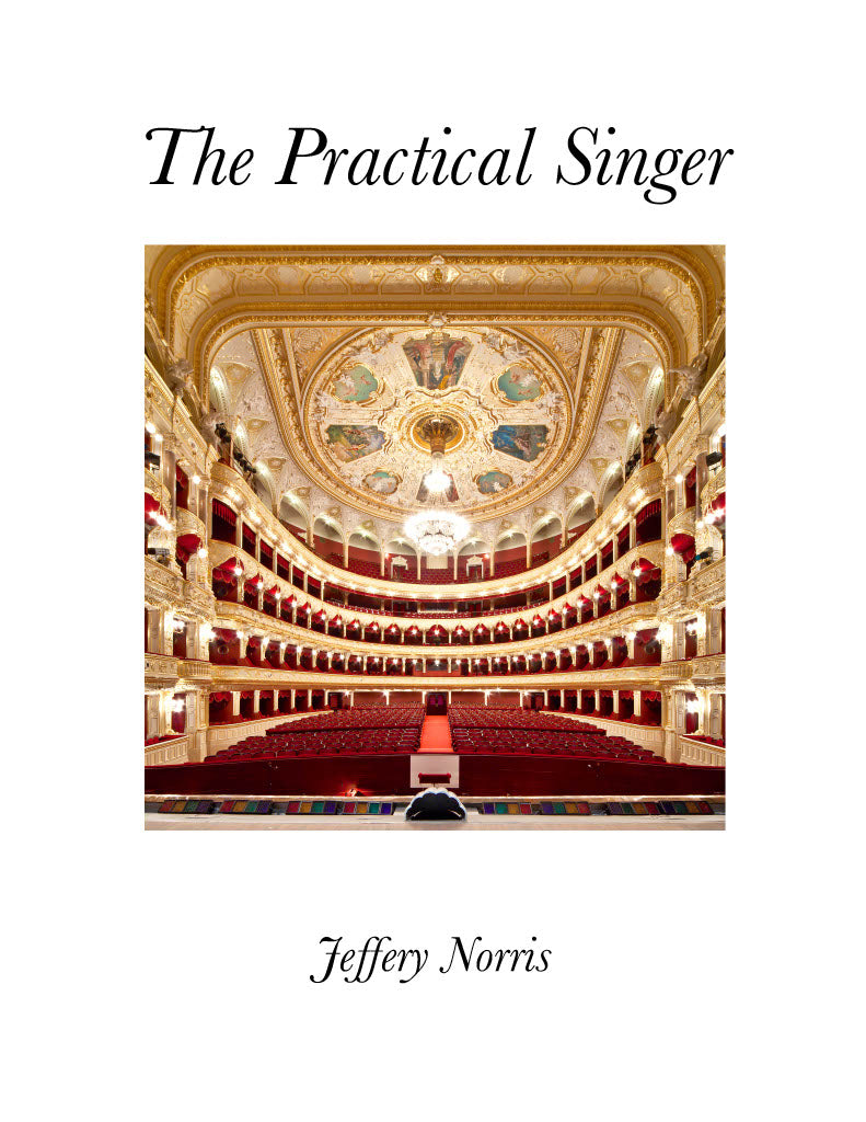 The Practical Singer by Jeffery Norris